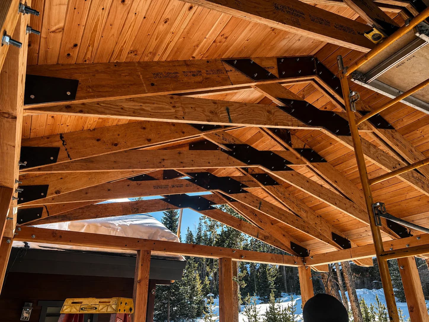 Timber Pavilion Roof